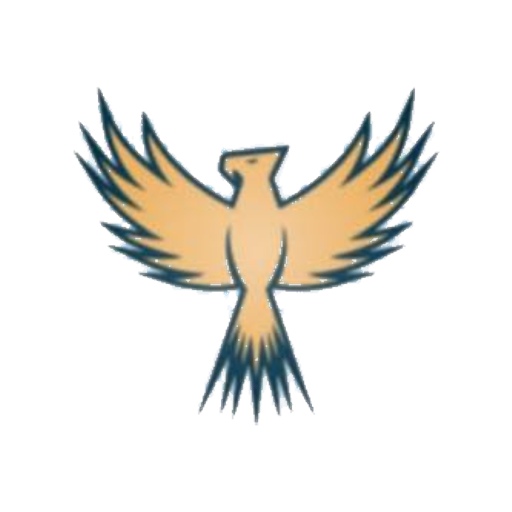 Phoenix Sports Academy